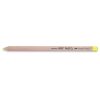 Faber-Castell Individual Pitt Pastel Pencils - Shore Studio